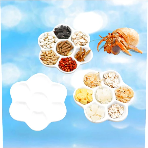 Neeenn 3 Pcs Hermit Crab Ceramic Food Dish, Hermit Crab Food & Water Bowl, Mini Food Dish Kit, Suitable for Hermit Crab Tarantula Snail