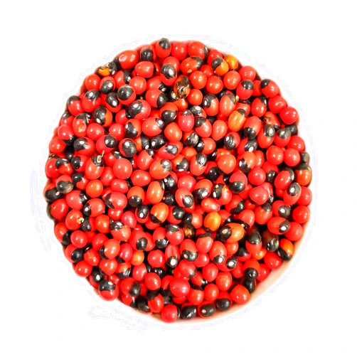 Divozest Rakt G-u-n-j-a Dried Seeds 100g