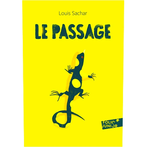 Louis Sachar,Jean-François Ménard Le Passage (Folio Junior) (French Edition)