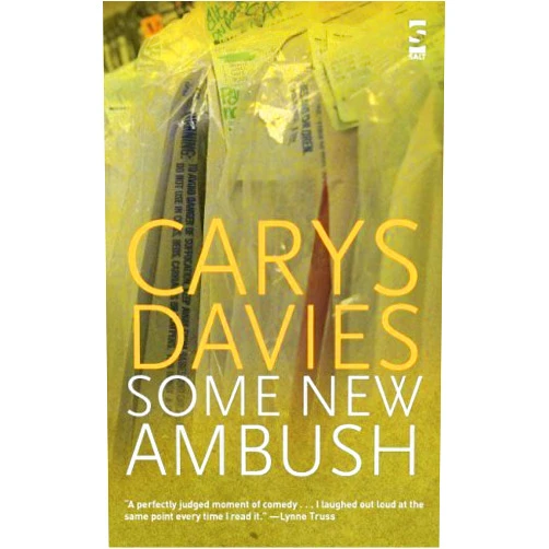 By Carys Davies (Author) (Some New Ambush (Salt Modern Fiction)) [By: Davies, Carys] [Oct, 2007]