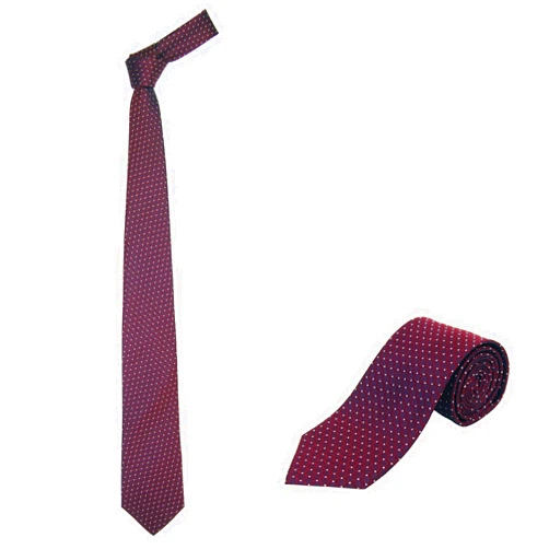 JNJSTELLA Men's Extra Long Silk Tie with Gift Box