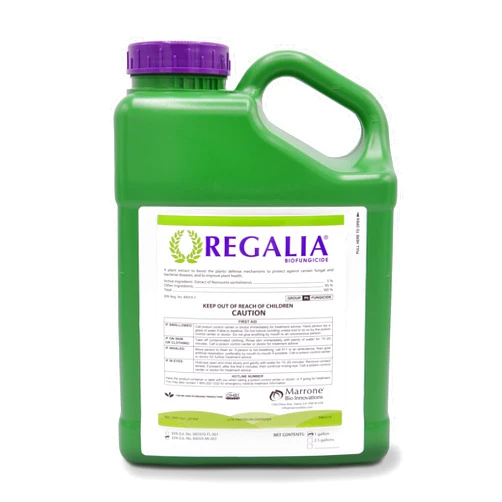 Marrone Bio Innovations 10596 Marrone Regalia CG-128oz, Clear