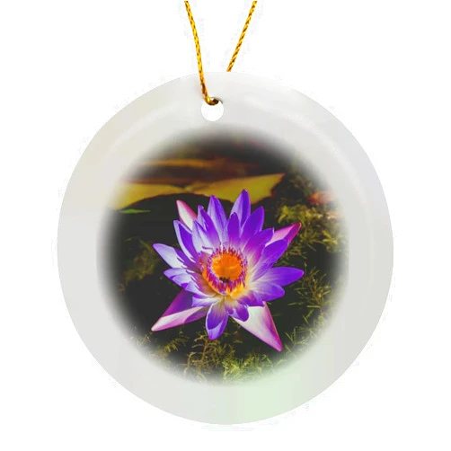 3dRose Circle Porcelain Ornament - USA, Austin, Texas, Water Lily, Zilker Botanical Garden, Zilker Park. Flowers