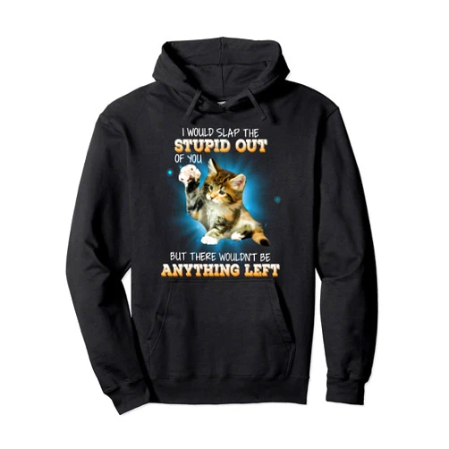 I Would Slap The Stupid Out Of You & Cats Lover I Would Slap The Stupid Out Of You Funny Cats Lover Pullover Hoodie