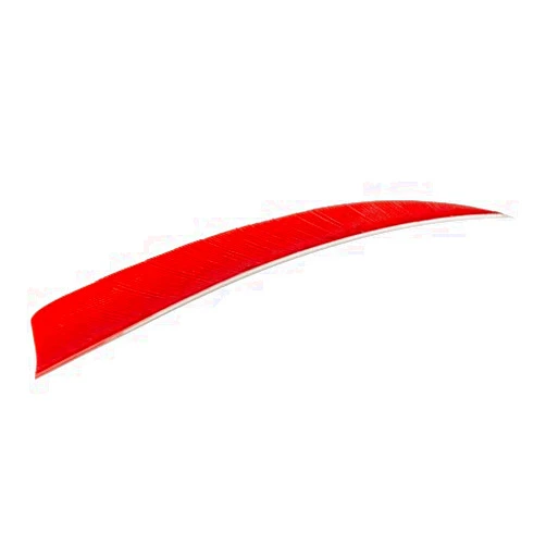 True Flight TRUEFLIGHT FEATHERS SHIELD CUT 5 LW RED 100/PK. by Trueflight Mfg Comp Inc