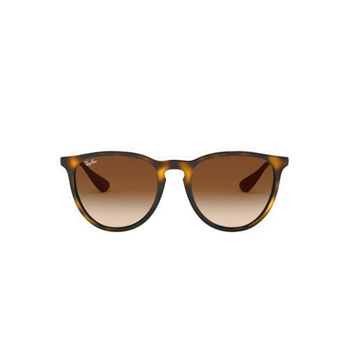 Ray-Ban RB4171 Erika Round Sunglasses