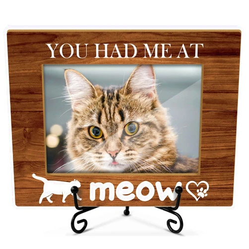 Doreen's Boutique Cat Memorial Frame 4 x 6 Picture Frame Wooden Frame Photo Frame Tabletop Display Home Decor for Office, Cat Memorial Gifts Pet Picture Frame For Pet Owner - You Had Me At Meow -24