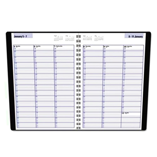 DayMinder Recycled Weekly Appointment Book, 8 x 11 Inches, Black, 2013 (G520-00)