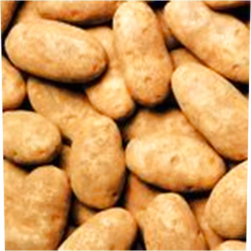 IDAHO POTATOES At The Neighborhood Corner Russet Idaho Potatoes Fresh Premium Fruit and Produce Vegetables, 4 pound case