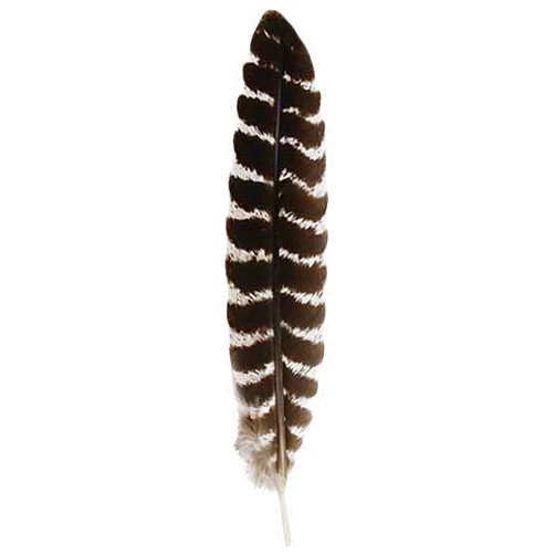 AzureGreen Grade A Barred Turkey Smudging Feather (no stains, cuts, pieces missing)