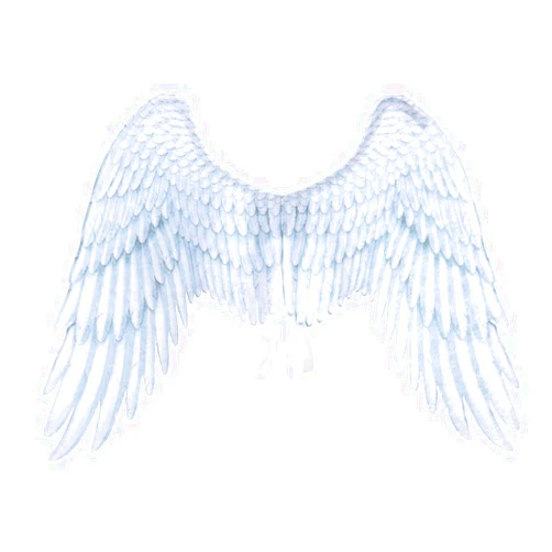 Anbaby 3D Printed Feathers Angle Wings Festive Party Props Angel Wings Costumes for Cosplay Decorative Wings