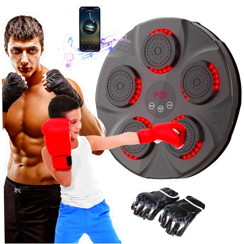 WISHSKY Music Boxing Machine with Boxing Gloves, Smart Bluetooth Boxing Equipment, Wall Mounted Target Training Punching Boxing Machine for Adults, Kids, Home, Indoor, Workout and Gym