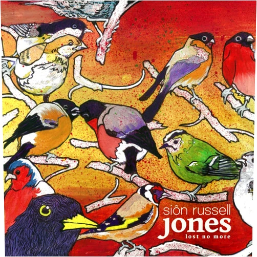 JONES,SION RUSSELL (Artist) Format: Audio CD Lost No More