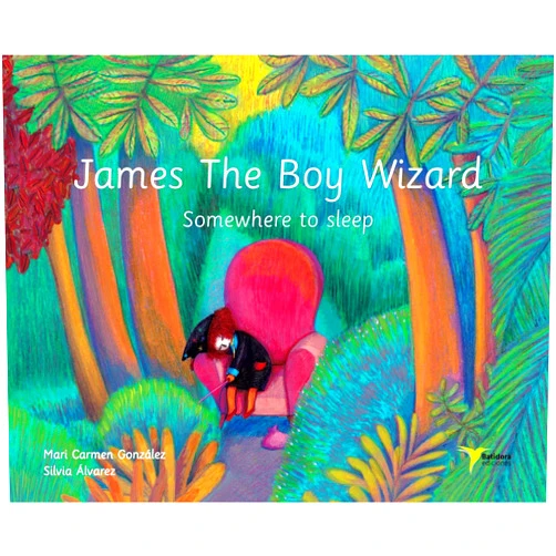 Mari Carmen González Sánchez,Silvia Álvarez Castellar,Jenny Forbes James The Boy Wizard: Somewhere to sleep