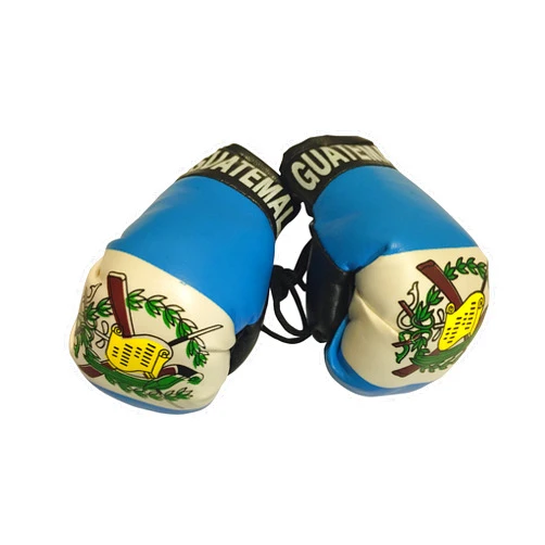 FNG Mini Boxing Gloves Flag Mini Small Boxing Gloves to Hang Over Car Automobile Mirror – Americas