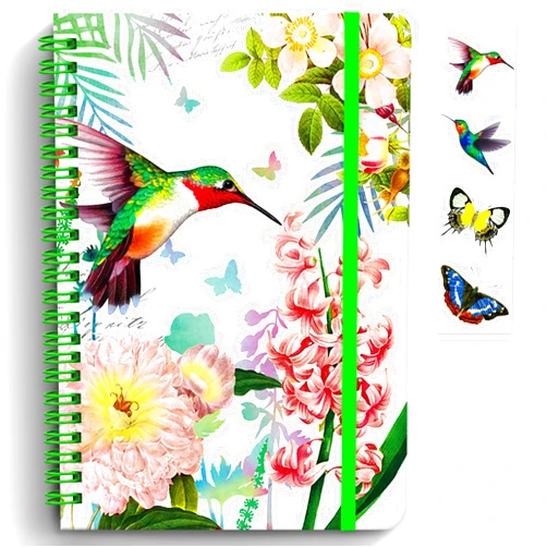DWIYITTN Hummingbird Journal for Women & Girls, A5 Lined Spiral Notebook, 160 Pages for Writing, 5.7'' x 8.25'', Hardcover, Kids Diary, Gift Ideas