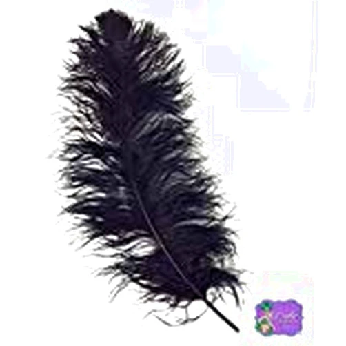 Exotic Feathers LA est. 1973 Black Ostrich Feathers 100 pcs Size 10-14