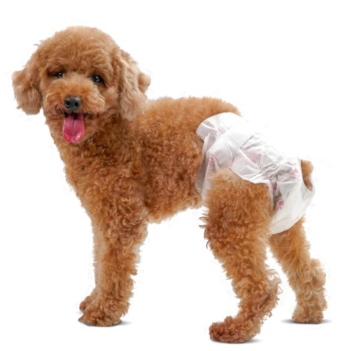 Wcnays Disposable Dog Diapers, Female Dog Diapers 10 Pack Ultra Protection, All-Absorb Diapers for Dogs in Heat, Excitable Urination or Incontinence