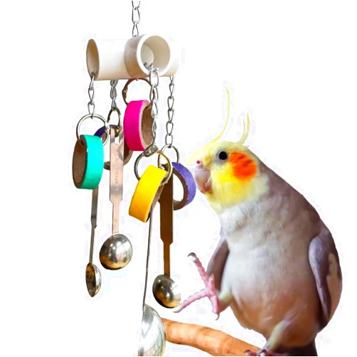 GILYGI Durable Bird Parrots Scoops and Bagel Toys, Pullable Stainless Steel Spoon and Cardboard Ring Toys for Small and Medium Bird Parakeets, Cockatiels, Conures, Budgie, Lovebirds, Finches