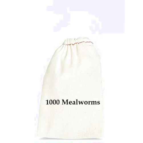 BASSETT'S CRICKET RANCH 1000 Mealworms - Worms for Reptiles and Birds
