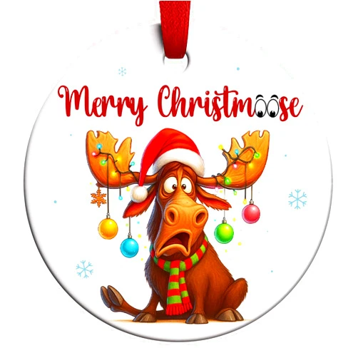 BEST CANVAS WALL ART Funny Christmas Ornaments 2025, Merry Christmoose Ornament, Moose Hunting Keepsake, Animal Lover Gifts for Kids, Farmhouse Decor, Gifts for Farmer Hunter