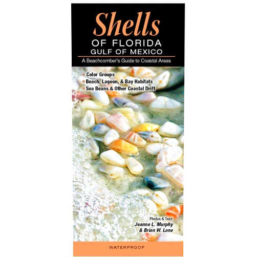 Jeanne L. Murphy and Brian W. Lane Shells of Florida-Gulf of Mexico: A Beachcomber’s Guide to Coastal Areas