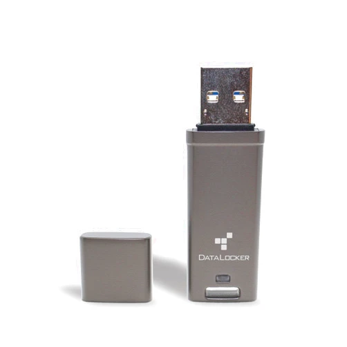 DataLocker DL GO Encrypted USB Flash Drive | USB 3.2 Gen 1 | AES 256-bit XTS | FIPS 197 | IP68 Rugged | TAA Compliant - 16GB