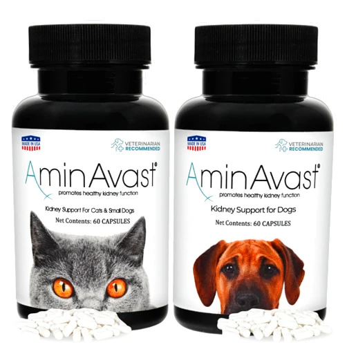 AminAvast Kidney Support Supplements for Dogs and Cats - Promotes Healthy Kidney Function and Vitality - Available in 300mg and 1000mg Capsules