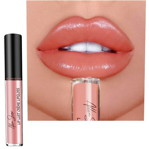 DFKE Allen Shaw Creme Texture Waterproof Lipstick, Lip Gloss Long Lasting Liquid Lipstick for Women (2#)