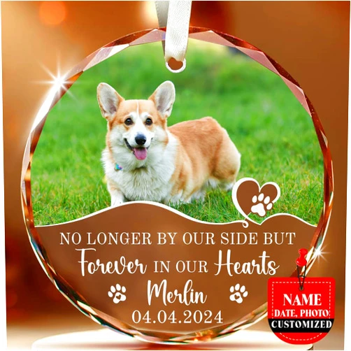 Fastpeace Personalized Pet Memorial Glass Ornament – Custom Photo, Name & Date – Forever in Our Hearts Keepsake for Pet Loss – Dog Cat Remembrance Valentine's Gift for Pet Lover