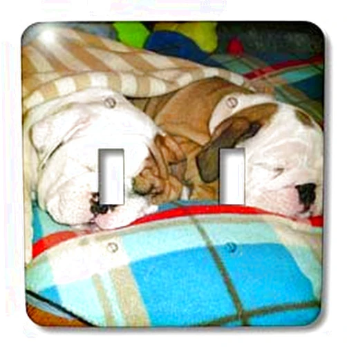 3dRose lsp_51655_2 English Bulldog Powernap Toggle Switch
