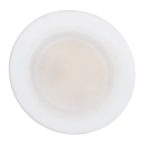 Manufacturers' Select ITC Radiance RV LED Overhead Light with Warm White Light (4.5