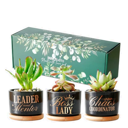 InnoBeta Boss Gifts for Women, Boss Lady Gifts, 3pcs Mini 3.15