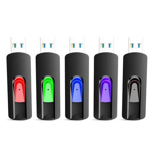 RAOYI 5 Pack 128GB USB 3.0 Flash Drive, High Speed Memory Stick Thumb Drives Jump Drive Pen Drive for PC Laptop Desktop- 128G Multipack