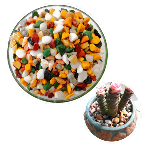 Anbuwei Plant Stones for Pots Indoor 5 Colors Mixed Stone Soil Cover Pebbles for Indoor Plant Garden Outdoor Decorative Stones Aquarium 36oz