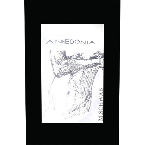 Michael Schwab Anhedonia: The Short Story and Other Poems