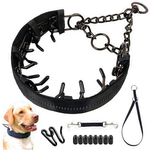Mayerzon Martingale Prong Collar for Dogs, Reflective Pinch Collar with Cover and Adjustable Stainless Steel Links for Small Medium Large Dogs, No Pull Dog Collar with Backup Collar and Clip