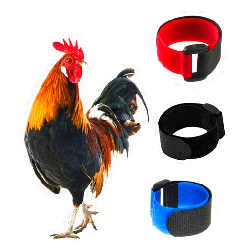 Tkocisa 3 Pack No Crow Rooster Collar, Chicken Collar Anti-Hook Noise Free Neckband No Crow Noise Neck Belt for Roosters - Prevent Chickens from Screaming, Disturbing Neighbors