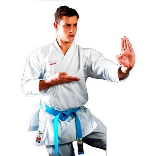 Kamikaze Karategi NEW LIFE EXCELLENCE-WKF TOKYO Special Edition