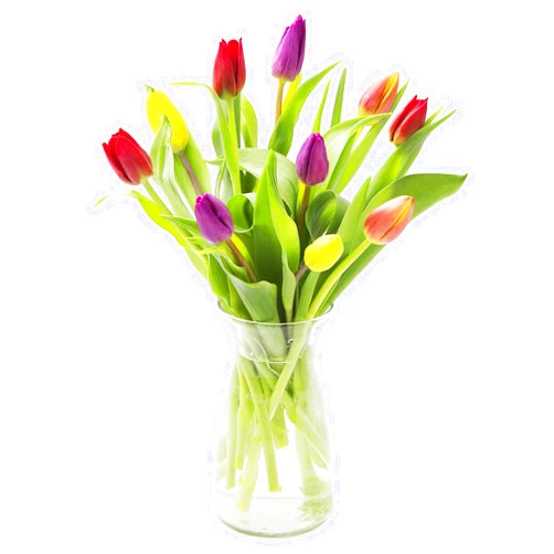KaBloom PRIME NEXT DAY DELIVERY - Fall Collection - Bouquet of 10 Assorted Tulips with Vase Gift for Birthday, Sympathy, Anniversary, Get Well, Thank You, Valentine, Mother’s Day Flowers