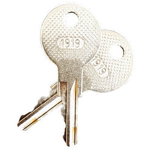 Golf Cart King EZGO (1982-Up) Gas and Electric Golf Cart Replacement Ignition Key (2)