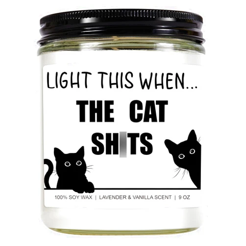 Younift Funny Cat Candle, Cat Lover Gifts for Women, Men, Cat Gifts for Cat Lovers, Black Cat Gifts, Cat Mom Mothers Day Gifts, Fathers Day Cat Dad Gifts, Cat Themed Gifts, Cat Lady, Cat Stuff