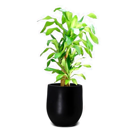 Elly Décor 12 inch Conic fiberstone Planter, Conic Smooth Design,Lightweight, Durable Garden Pot | Planter for Patio,Indoors and Outdoors 11