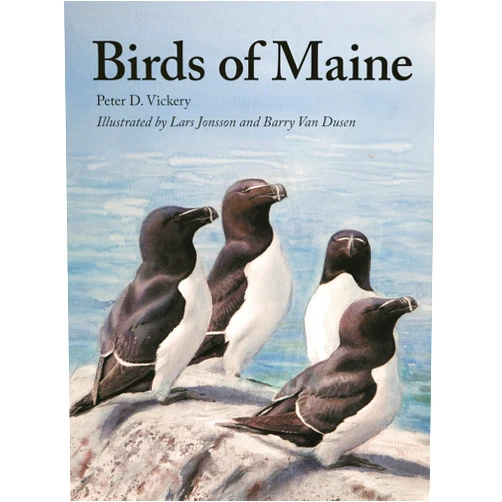 Peter Vickery,Charles Duncan,Jeffrey V. Wells,William J. Sheehan,Scott Weidensaul,Barbara Vickery,Barry Van Dusen,Lars Jonsson Birds of Maine