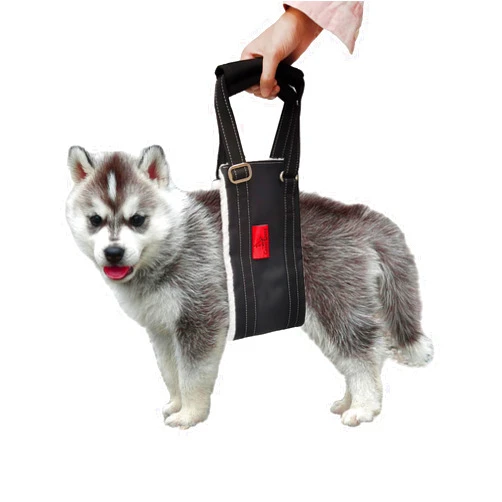 Cover Geny Leather Dog Lift Harness for Small Dogs, Doggie Walking Sling, Dog Sling Belly Support Strap, Pet Assist Harness for Senior,Injured,Disabled Dogs After ACL Surgery S