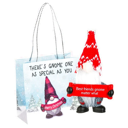 Ganz U.S.A. Best Friends Gnome Matter What Holiday Gnome Ornaments 2 Sided for Holiday Christmas Tree Décor Gifts from Friends Presented in a Holiday Bag with a Festive Gnome and Poem