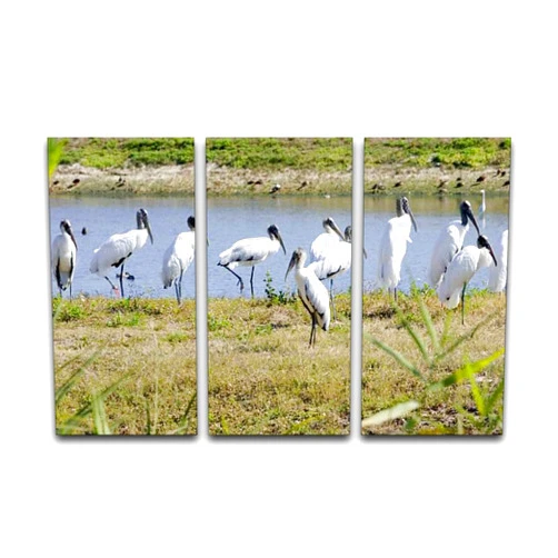 BFOIUGTKRQUE 3 Panel Wall Art Modern Artworks for Home Decor Canvas Prints Wood Storks Pictures for Living Room Bedroom Decoration, Ready to Hang