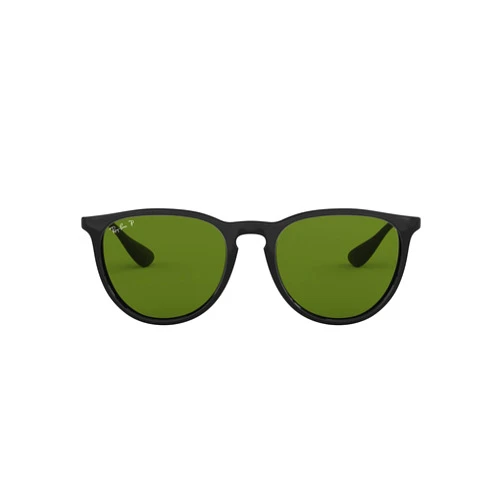 Ray-Ban RB4171 Erika Round Sunglasses