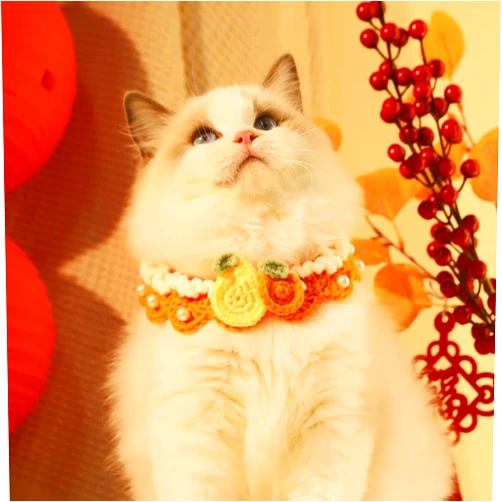 SENELK Cat Collar with Pearl- Cute Adjustable Cat Bandana Collar for Girl Cats and Boy Cats(Orange)