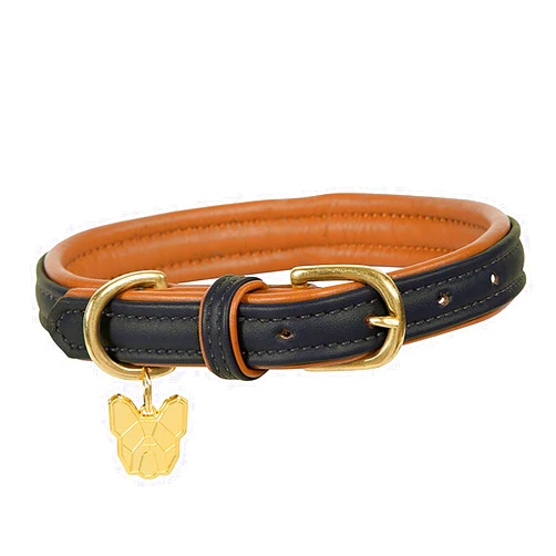 Shires Digby & Fox Padded Leather Dog Collar (Small, Black)